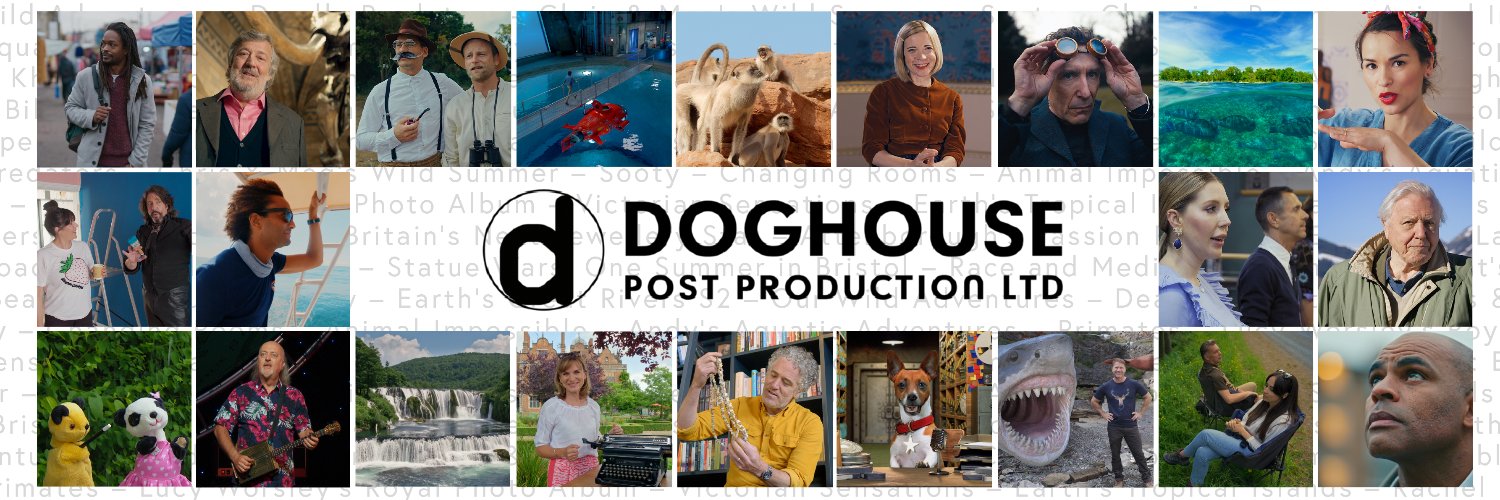 Doghouse banner