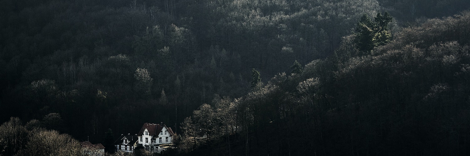 Valery Meleshkin 🕊💙💛 banner