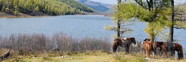 Megnamiga Profile Banner