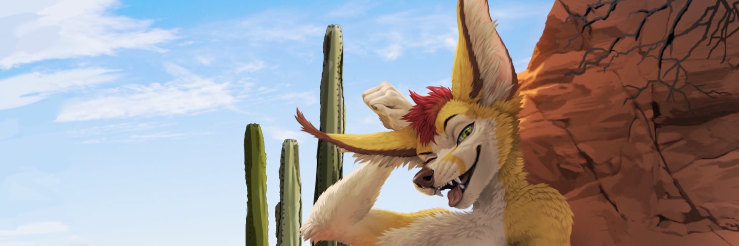 Feͨnͣnͬeͣc banner