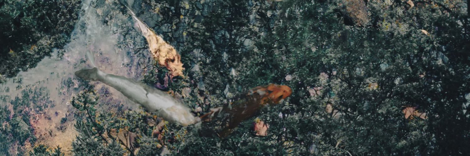 solanum_rom's profile banner image