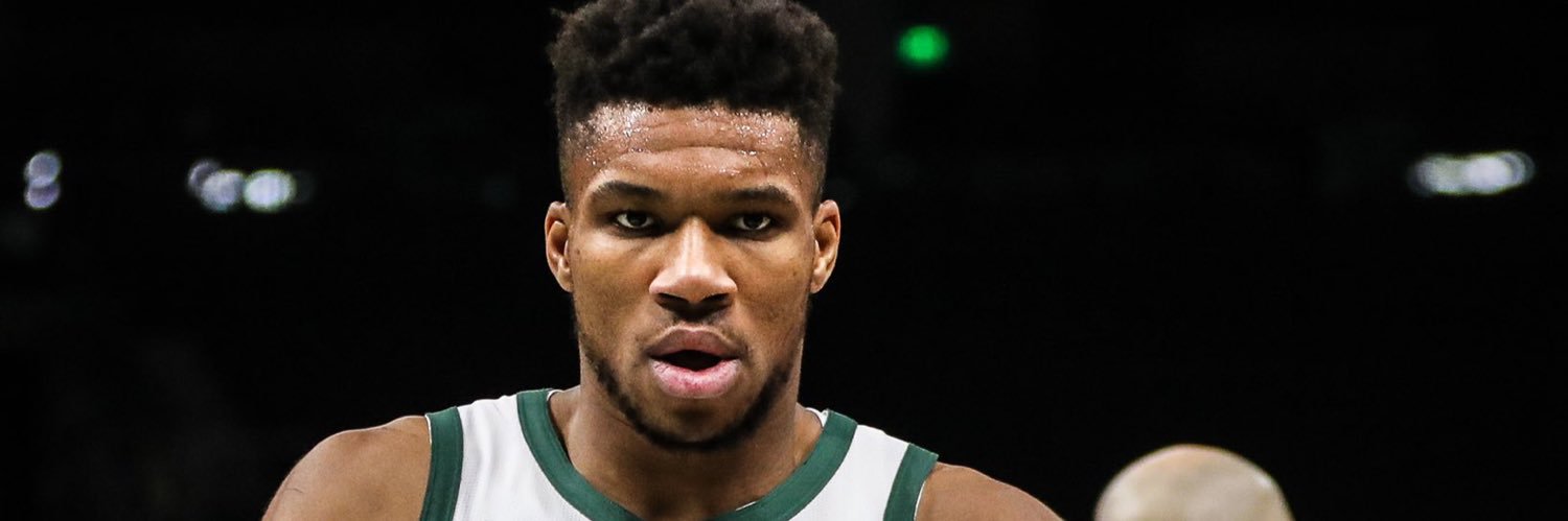 fernanda curti banner