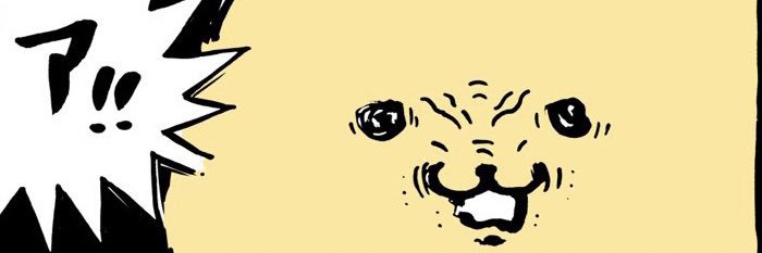 riotharuhi's profile banner image