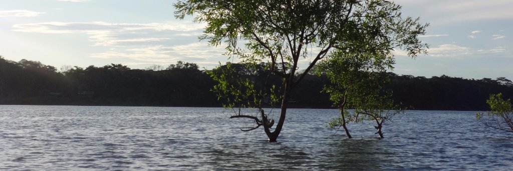cronchirock's profile banner image