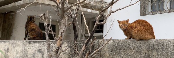 MayaIlany Profile Banner