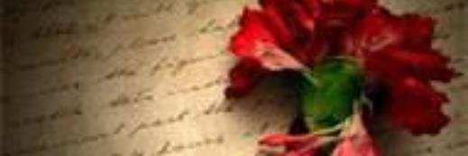 BrookeLinsey's profile banner image