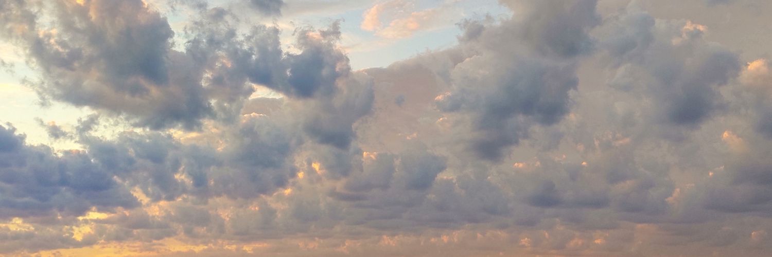 zetlinka's profile banner image