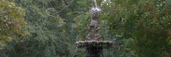 ColumbiaKoala Profile Banner