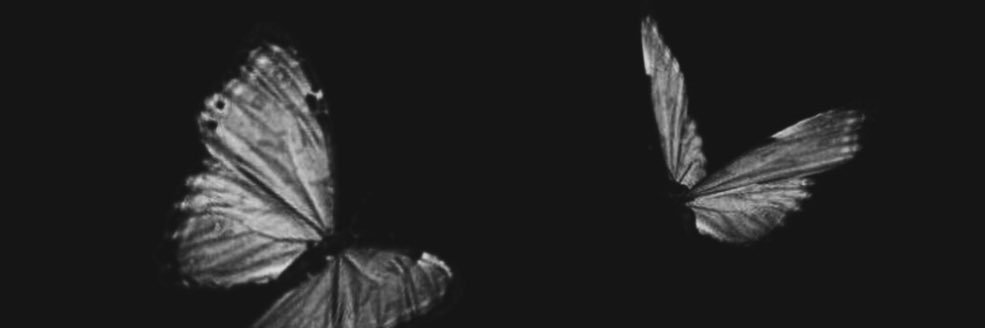 cl2l21's profile banner image