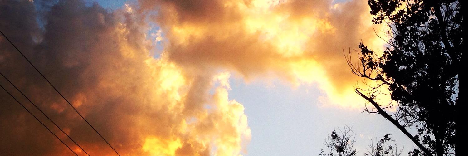 nektium's profile banner image