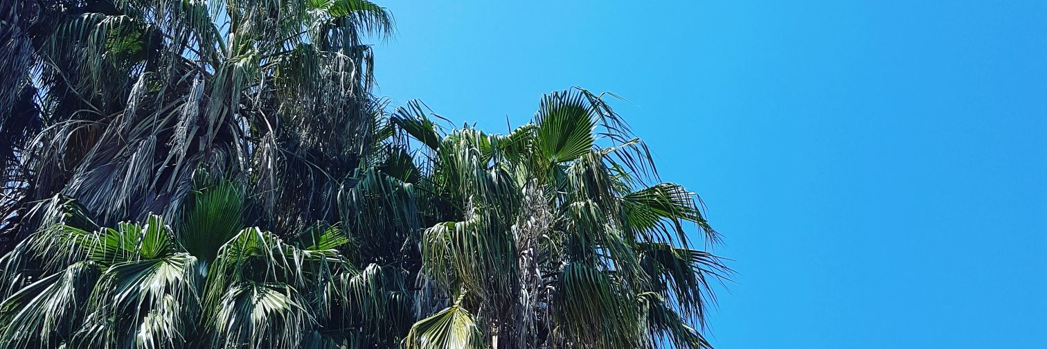 we_just_us's profile banner image
