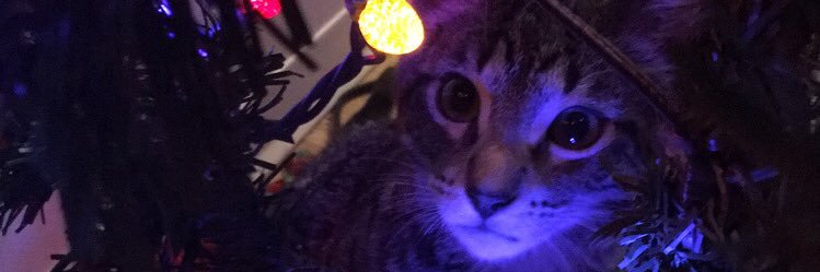 Yew_kno_nothing's profile banner image