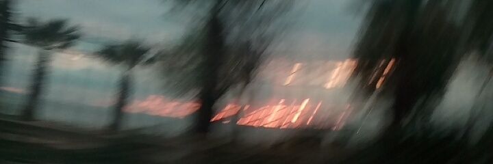 ozge_tercan's profile banner image