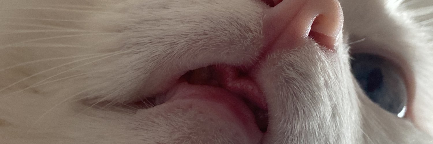 mechamamdecacau's profile banner image