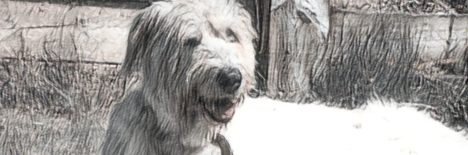 Louise Granger banner