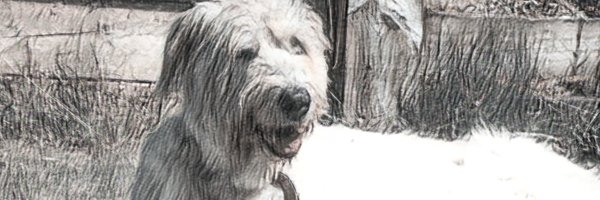 lmgranger22 Profile Banner