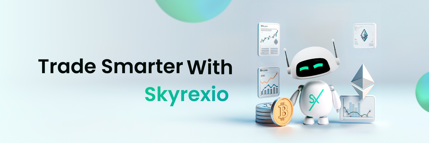 Skyrexio banner