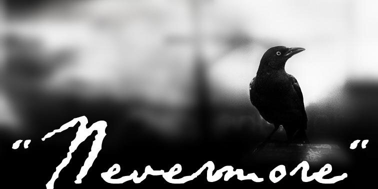 John333Money's profile banner image