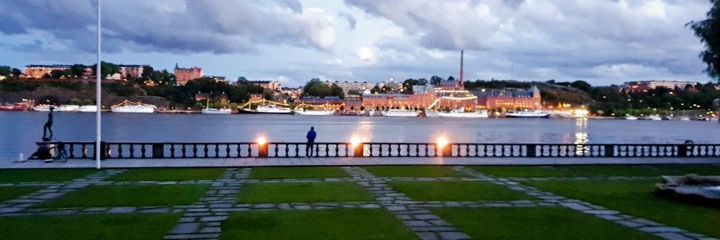 Angelo Villaggi 🇸🇪🇮🇹🇪🇺 banner