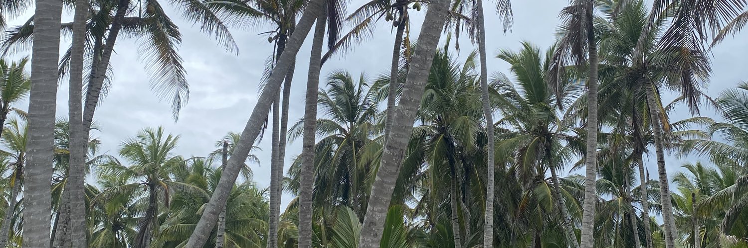 AngelTi8res 🇲🇽 banner