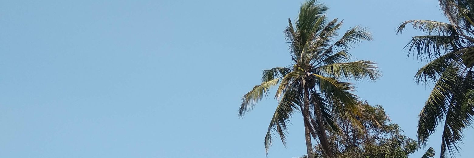 kokoarchimedes's profile banner image
