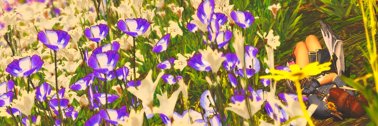 mandaar__'s profile banner image