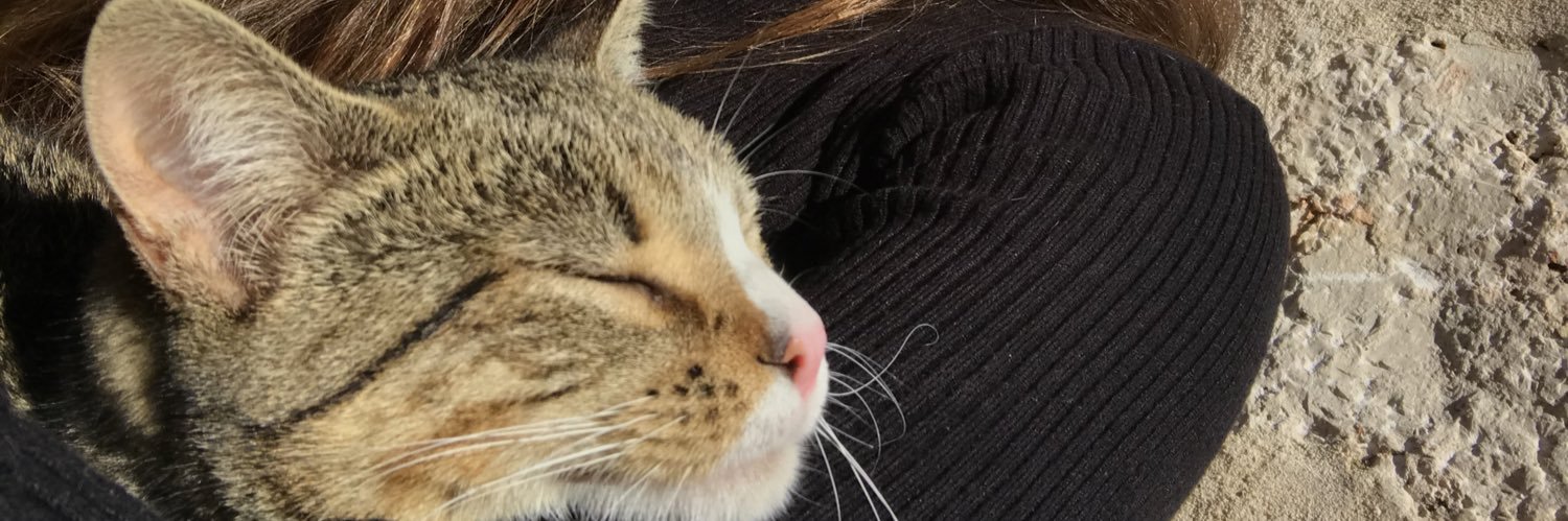 carmen_mrtinez3's profile banner image
