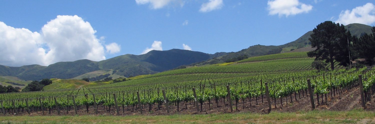 KCOY's profile banner image