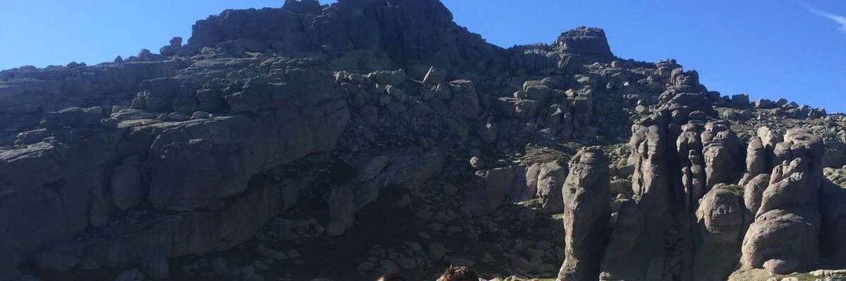 Feluison's profile banner image