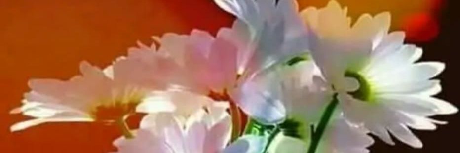 sunasara_786's profile banner image