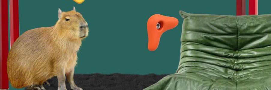 capibaralover33's profile banner image