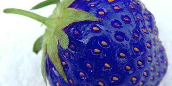 yulia_zuliaa's profile banner image