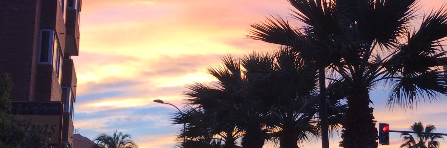 fraann1302's profile banner image