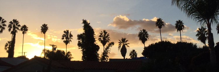 lzeff's profile banner image