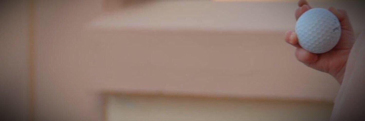 TweetFanny1's profile banner image