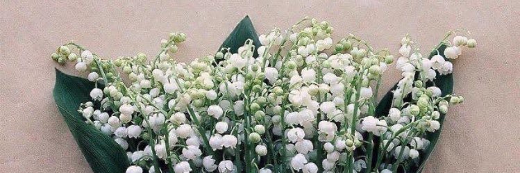 aneen_88's profile banner image