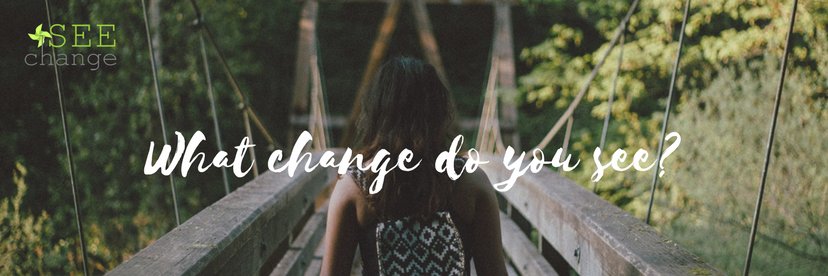 SEE Change Magazine banner