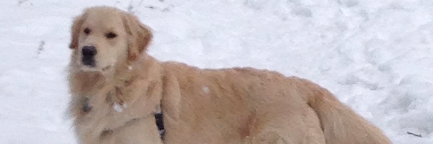 pagekelley's profile banner image