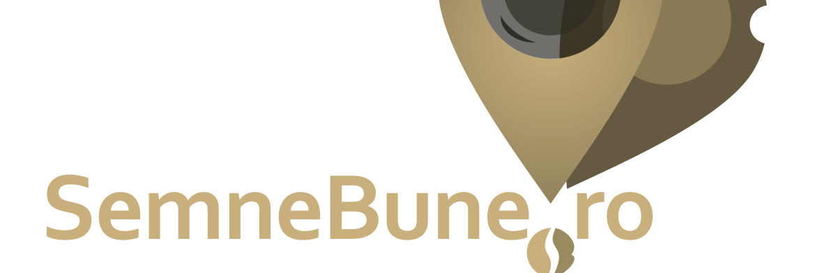 SemneBune's profile banner image