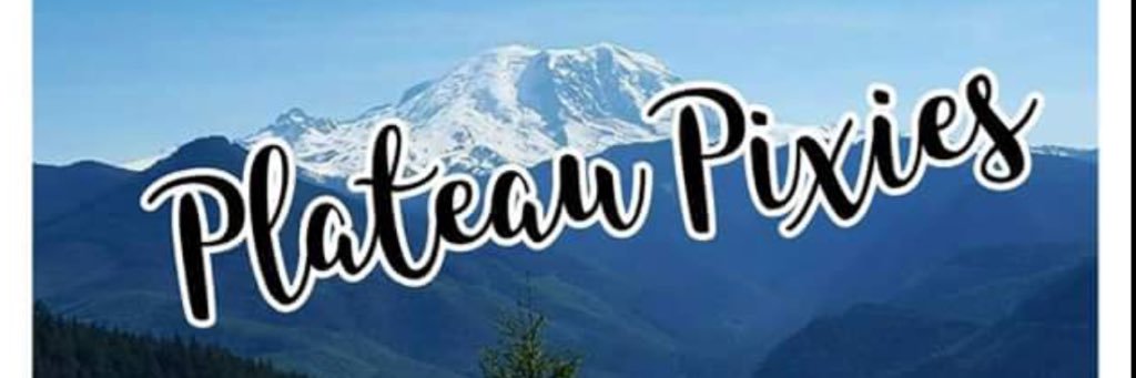 PlateauPixies's profile banner image