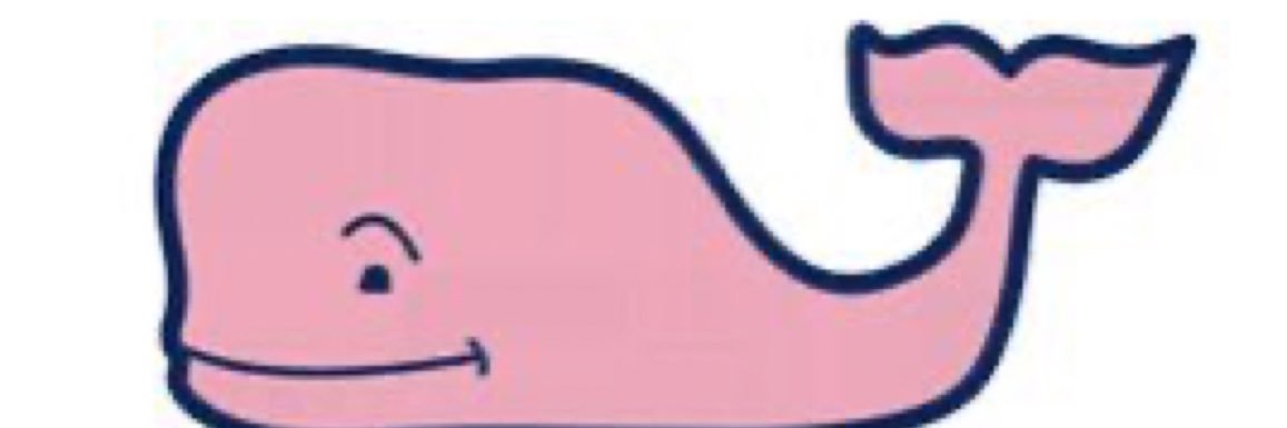 FitLakeMom banner