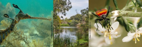 MelbourneSCB Profile Banner