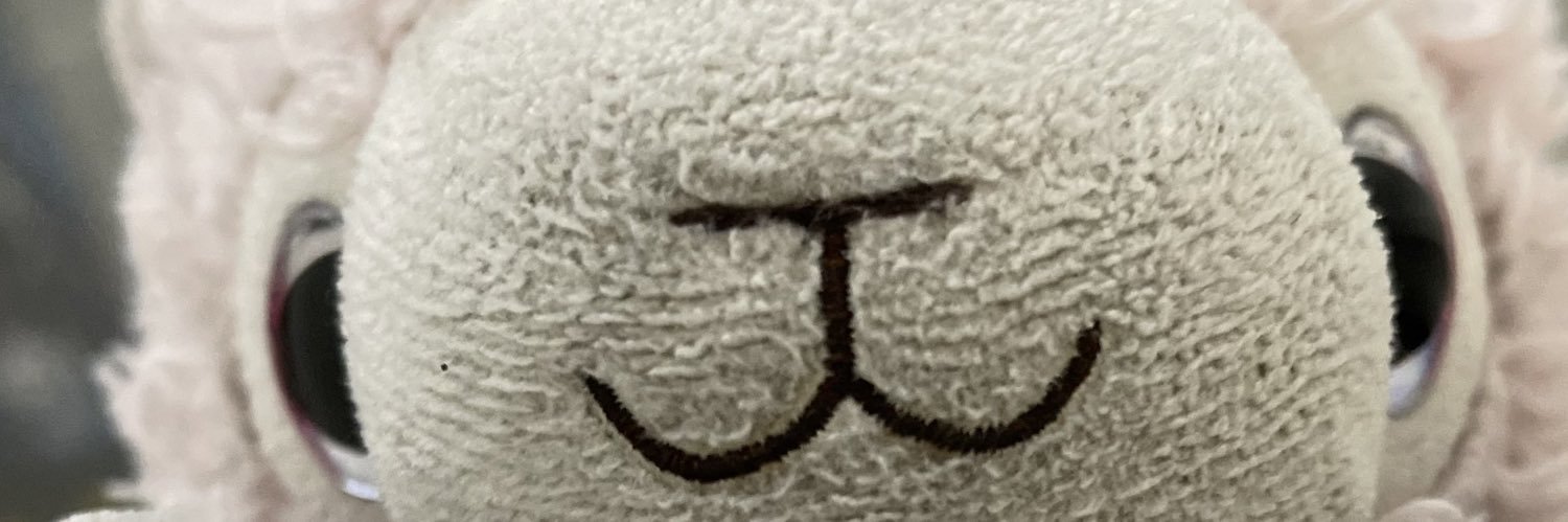 Alpacaquest's profile banner image