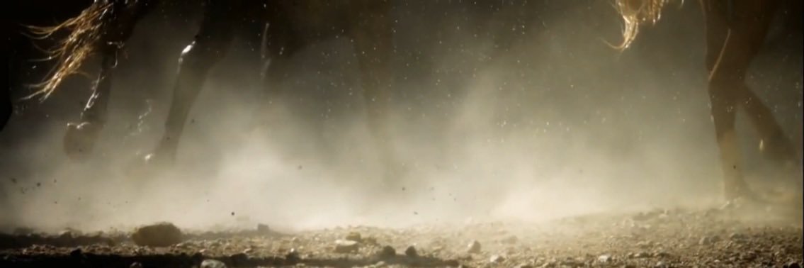 Stallion New York banner