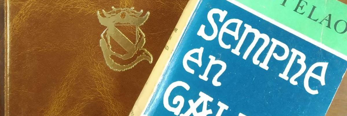 GalegoVigo's profile banner image