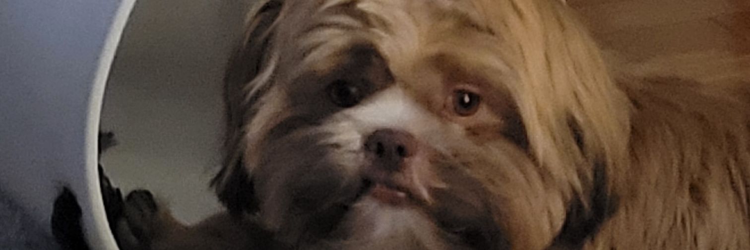 Jerzeybeachgrl's banner