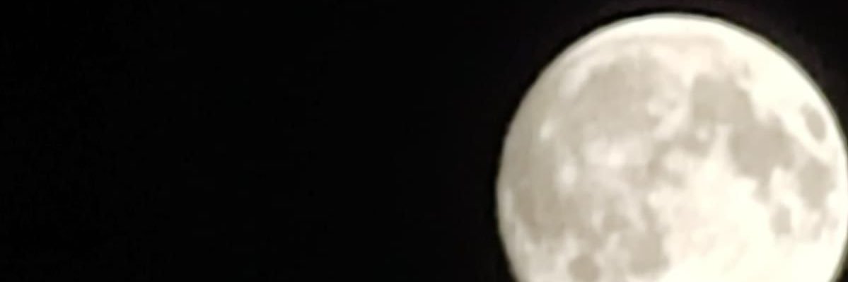 essraboyraz's profile banner image