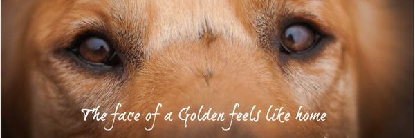 grrnt Profile Banner