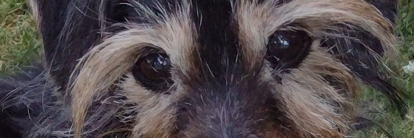 HowieBye's profile banner image
