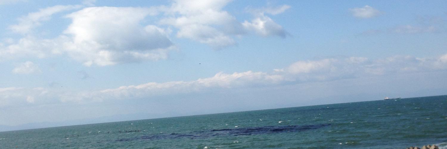 33mei33's profile banner image